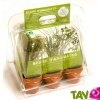 Mini serre Aromates de culture bio, plastique recycl� + terre et graines, 20 cm
